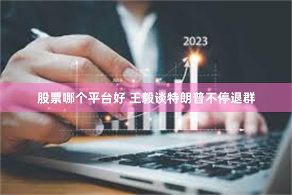 股票哪个平台好 王毅谈特朗普不停退群