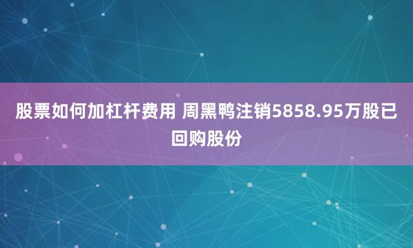 股票如何加杠杆费用 周黑鸭注销5858.95万股已回购股份