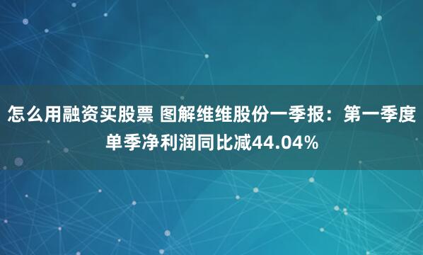 怎么用融资买股票 图解维维股份一季报：第一季度单季净利润同比减44.04%