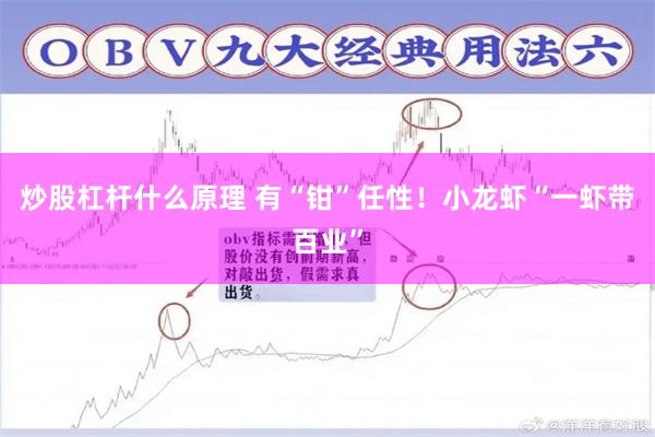 炒股杠杆什么原理 有“钳”任性！小龙虾“一虾带百业”