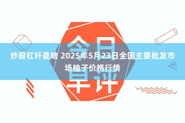 炒股杠杆是啥 2025年5月23日全国主要批发市场柚子价格行情