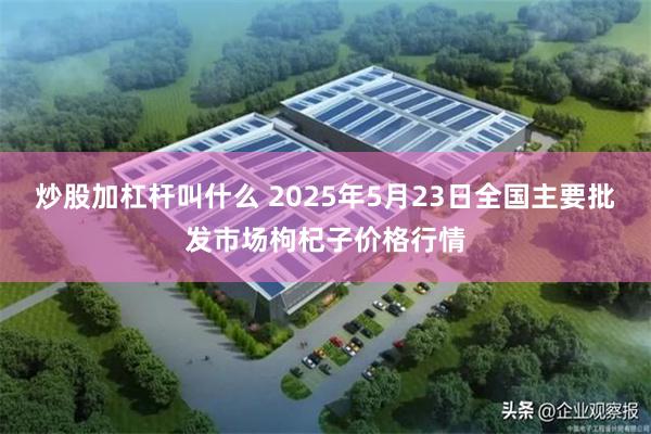炒股加杠杆叫什么 2025年5月23日全国主要批发市场枸杞子价格行情